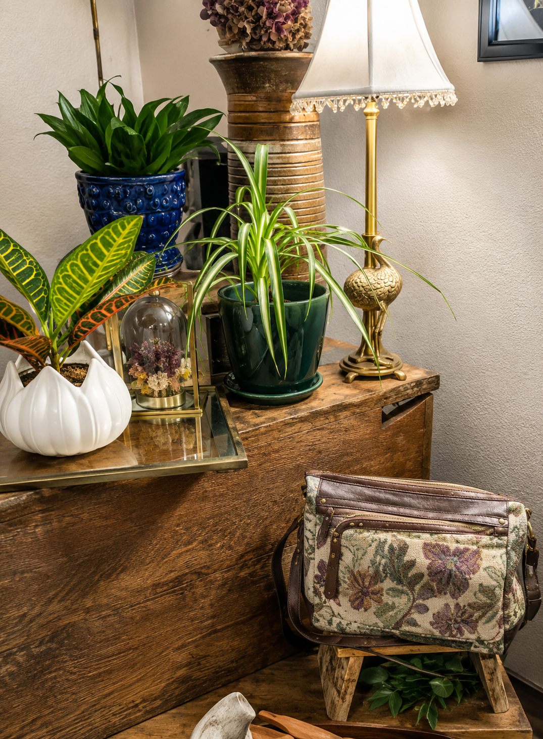Plants and vintage atmosphere
